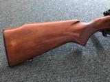 Winchester Model 70 Westerner .264 Win Mag - 6 of 14