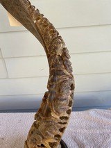 Kudu Horn Carved with Elephants - 2 of 6