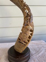 Kudu Horn Carved with Elephants - 1 of 6