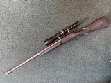 Winchester243 WSSM Custom - 1 of 25