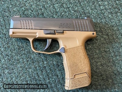 Sig P365
9mm