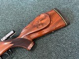 Colt Sauer 243 - 2 of 25
