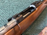 Ruger 77 International .243 - 14 of 23