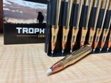 Nosler Trophy Grade 300 H&H - 5 of 6