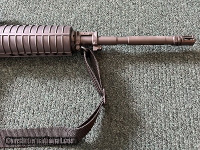 Bushmaster AR15 223 - Image 11 of 20