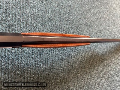 Italian Companion 20ga - Image 14 of 25