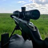 Tikka T3 Varmint .223 Threaded - 3 of 14