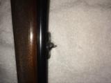 Winchester Model 70, Pre 64, 375 H&H - 7 of 14