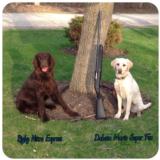 Winchester Model 12 16ga - 9 of 9