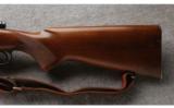 Winchester Model 70 in .30-06 Made in 1950 Excellent Condition. - 7 of 7