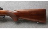 Winchester Model 70 .270 WCF Made in 1949, Nice Hunting Rifle. - 7 of 7