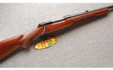 Winchester Cabela's Exclusive Model 70 Westerner 7MM Rem Mag - 1 of 7