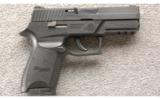 Sig Sauer P250 9MM With Night Sights and the case. - 1 of 3