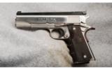 Colt Government Model
.45 ACP - 2 of 2