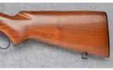 Winchester Model 88 Carbine .243 Win. - 7 of 9