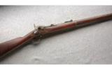 Springfield Model 1873 Dated 1889, Like New Bore. - 1 of 8