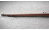 Springfield Model 1873 Dated 1889, Like New Bore. - 7 of 8
