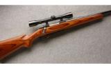 Ruger M77 Varmint .22-250 Rem, Laminate Stock with Scope. - 1 of 7