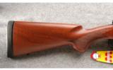 Winchester Cabela's Exclusive Model 70 Westerner 7MM Rem Mag - 5 of 7