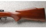 Winchester Pre '64 Model 70 Standard Grade .30-06 SPRG Excellent Condition. Made in 1957 - 8 of 8