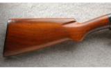 Winchester Model 12, 12 Gauge with 32 Inch Barrel, Made in 1930 - 5 of 7