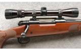 Winchester Model 70 Classic SA (FWT) in .243 Win With Scope. - 2 of 7