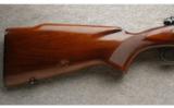 Winchester Pre 64 Model 70 in .300 Magnum (300 H&H) In Outstanding Condition, Made in 1962 - 6 of 9