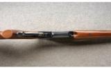 Browning BLR LT WT in .22-250 Rem, Excellent Condition - 3 of 7