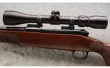 Winchester Model 70 FWT in .243 Win With Scope - 4 of 9
