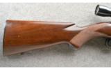 Winchester Pre-64 Model 100 in .308 Win, Made in 1956, Very Nice Condition - 6 of 9