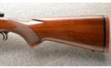 Winchester Pre-64 Model 70 in .30-06 Sprg. Made in 1949 - 9 of 9