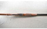 CZ Ringneck 410 Gauge/Bore with 26 Inch Barrels, Excellent Condition In The Box. - 3 of 9