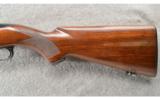 Winchester Model 100 Pre-64 in .308 Win, Nice Rifle. - 9 of 9