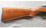 Winchester Model 77 Semi-Auto .22 LR, Very Nice Rifle - 5 of 9
