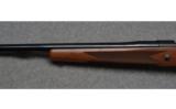 Winchester Model 70 Super Express in .375 H&H - 8 of 9