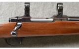 Ruger ~ M77 Heavy Barrel ~ .22-250 Rem. - 2 of 9