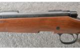 Remington ~ 700 Mountain DM ~ .30-06 Sprg - 8 of 9