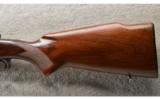 Winchester ~ Pre-64 Model 70 Varmint ~ .220 Swift - 9 of 9