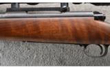 Winchester ~ Pre-64 Model 70 Varmint ~ .243 Win - 8 of 9
