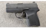 Sig Sauer ~ P290RS ~ 9MM ~ In Case - 3 of 3
