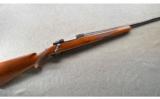 Ruger ~ M77 ~ .22-250 Rem - 1 of 9