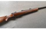 CZ-USA ~ 550 American Safari Magnum ~ .375 H&H ~ ANIB - 1 of 9