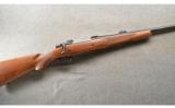 CZ USA ~ 550 American Safari Magnum ~ .375 H&H ~ ANIB - 1 of 9
