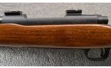 Winchester ~ Model 70 Varmint ~ .243 Win - 8 of 9