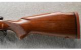 Winchester ~ Pre 64 Model 70 ~ .375 H&H - 9 of 9