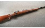 Winchester ~ Model 70 Varmint ~ .223 Rem - 1 of 9