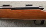 Winchester ~ Model 70 Varmint ~ .223 Rem - 8 of 9