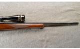 Ruger ~ M77 ~ .243 Win ~ Leupold Scope - 4 of 9