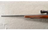 Ruger ~ 77/17 ~ .17 HMR ~ With Leupold Scope - 7 of 9