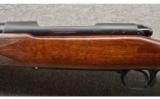 Winchester ~ Pre-64 Model 70 Super Grade ~ .375 H&H - 9 of 9